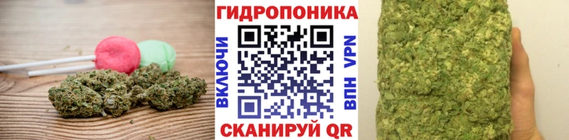 Canna-Cookies марихуана  блэк спрут сайт  маркетплейс формула  Павловская 