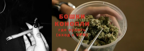 spice Володарск