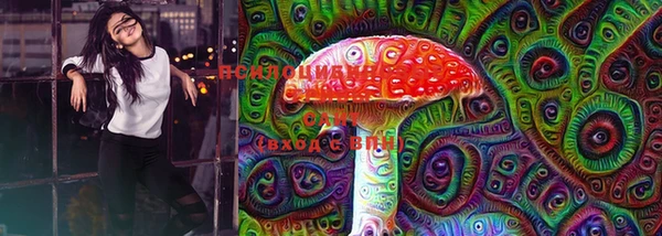 spice Володарск
