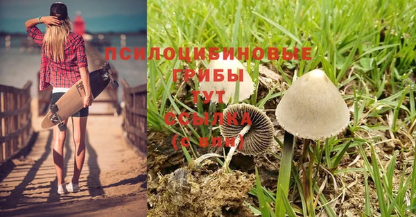 spice Володарск