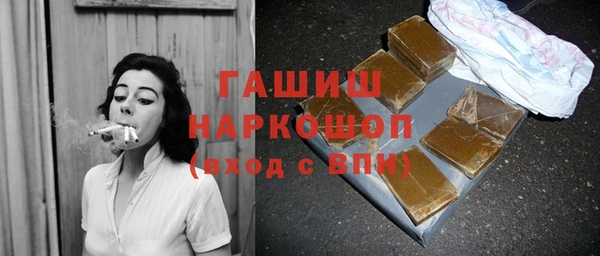 прущие грибы Вязьма
