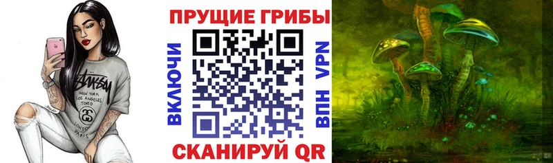 Галлюциногенные грибы Magic Shrooms  Павловская 